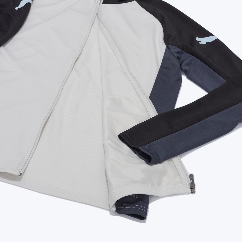 Костюм спортивный Puma Individualliga 66057602