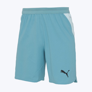 Шорты тренировочные Puma Indlightspeed Ultimate 66075902