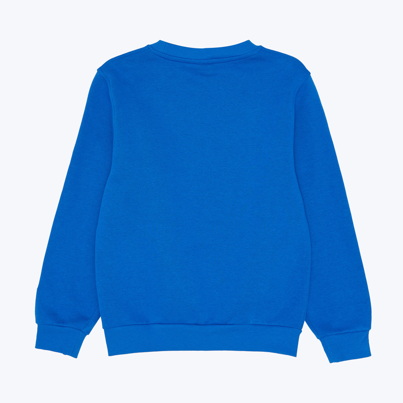 Свитшот подростковый Nike Park26 Fleece Crew Blank IO9045-463