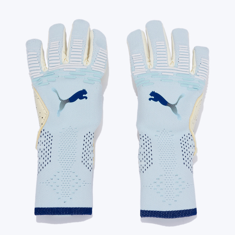Перчатки вратарские Puma Future Ultimate NC 04212102