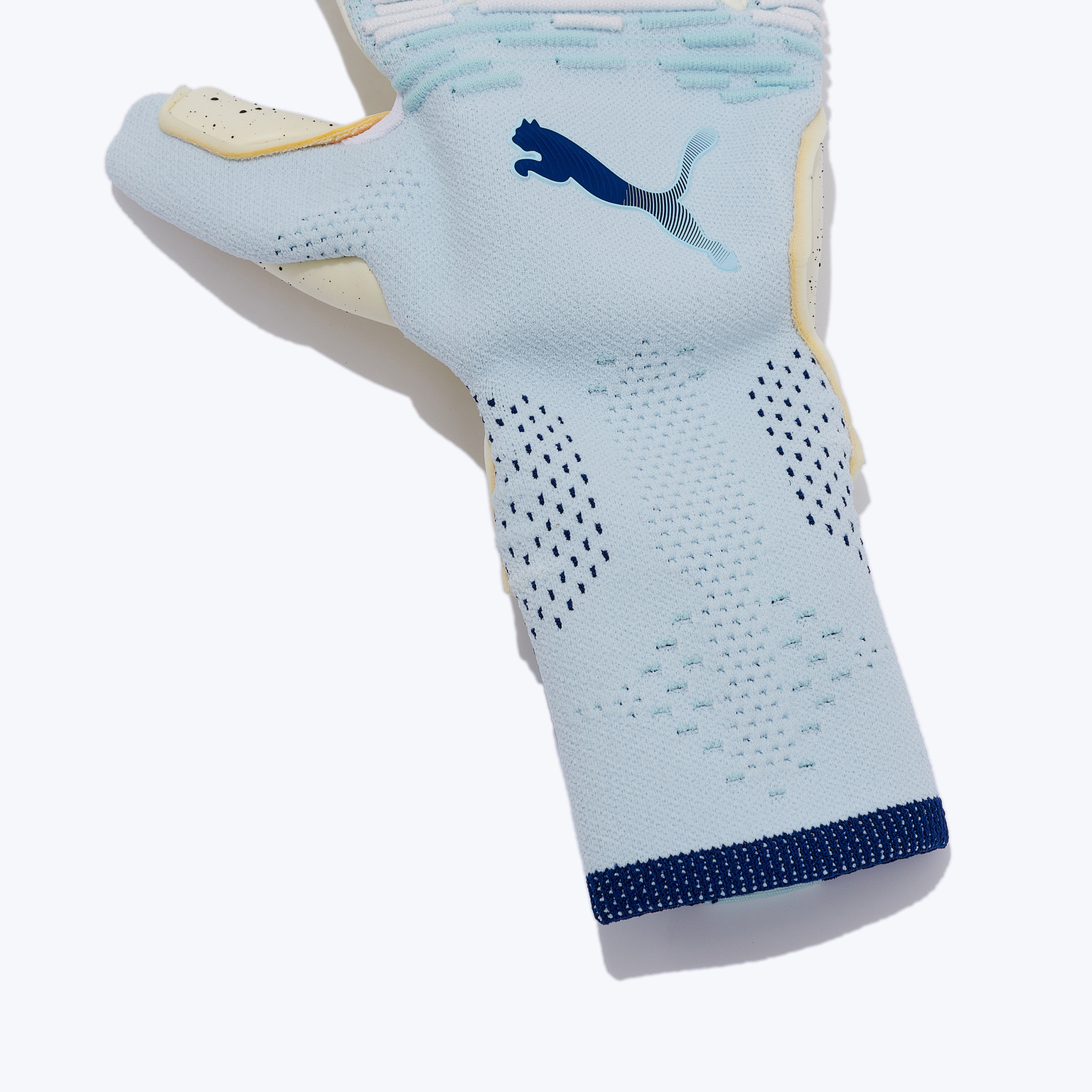 Перчатки вратарские Puma Future Ultimate NC 04212102