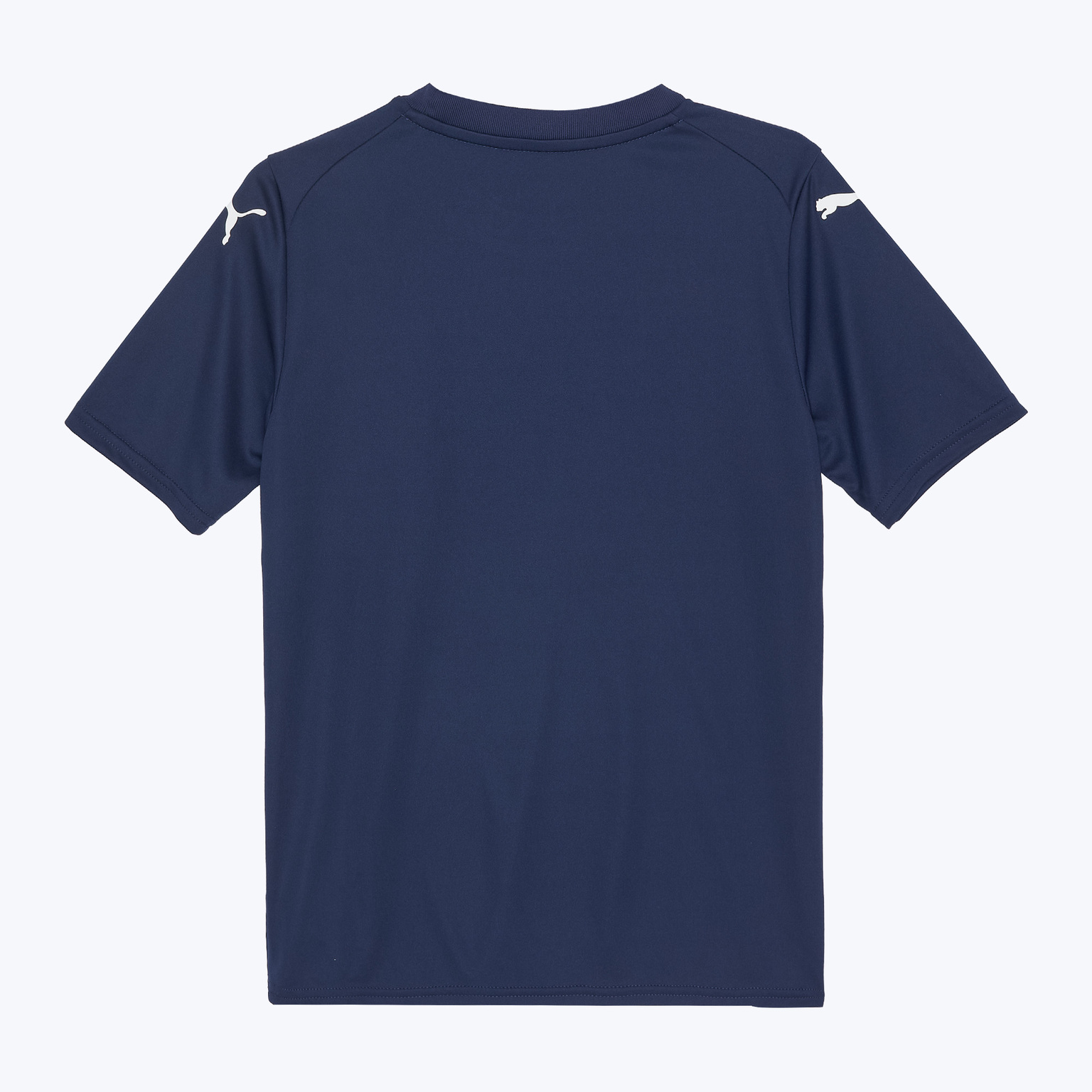 Футболка тренировочная подростковая Puma Teamfinal Graphic 70653706