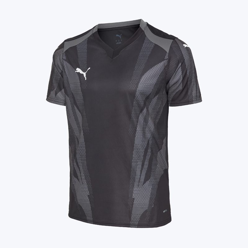 Футболка тренировочная Puma Teamfinal Graphic+ 70665403