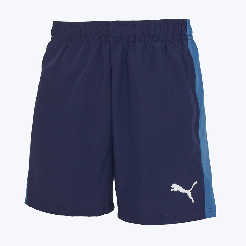 Шорты тренировочные Puma Teamliga26 Sideline 66093106