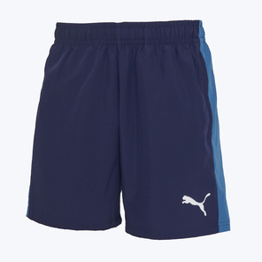 Шорты тренировочные Puma Teamliga26 Sideline 66093106