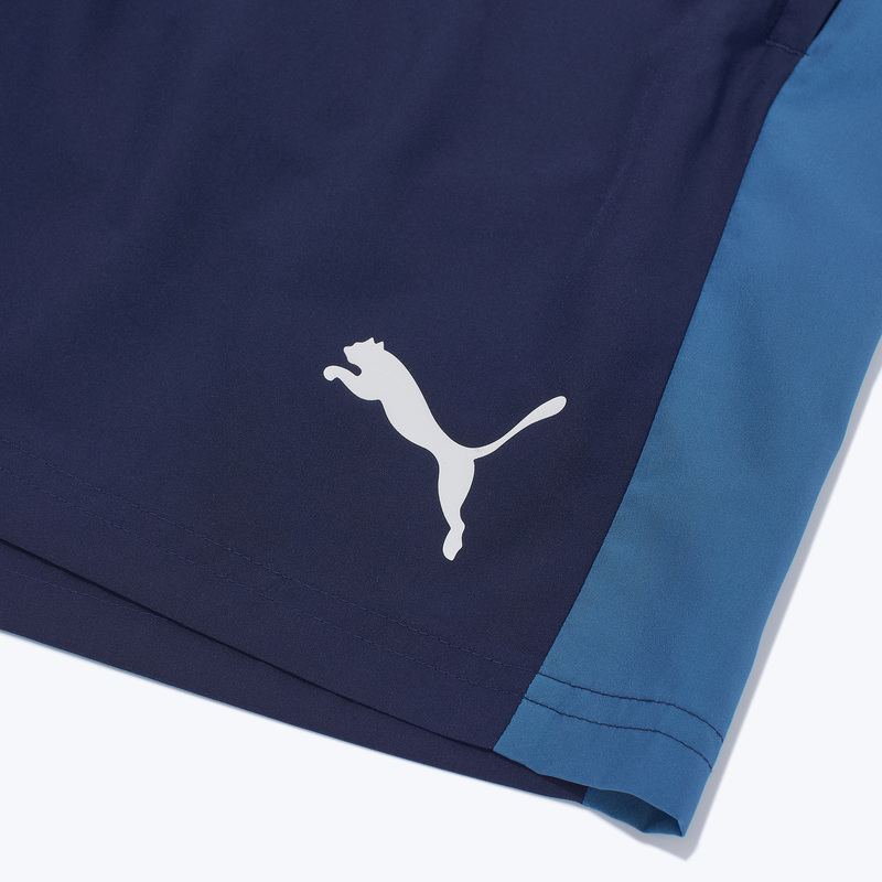 Шорты тренировочные Puma Teamliga26 Sideline 66093106