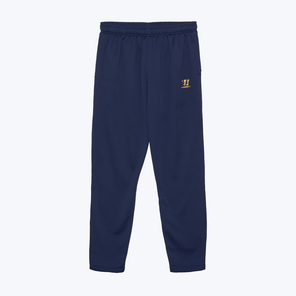 Брюки тренировочные Warrior Aurum Travel Knitted MP233017-NV
