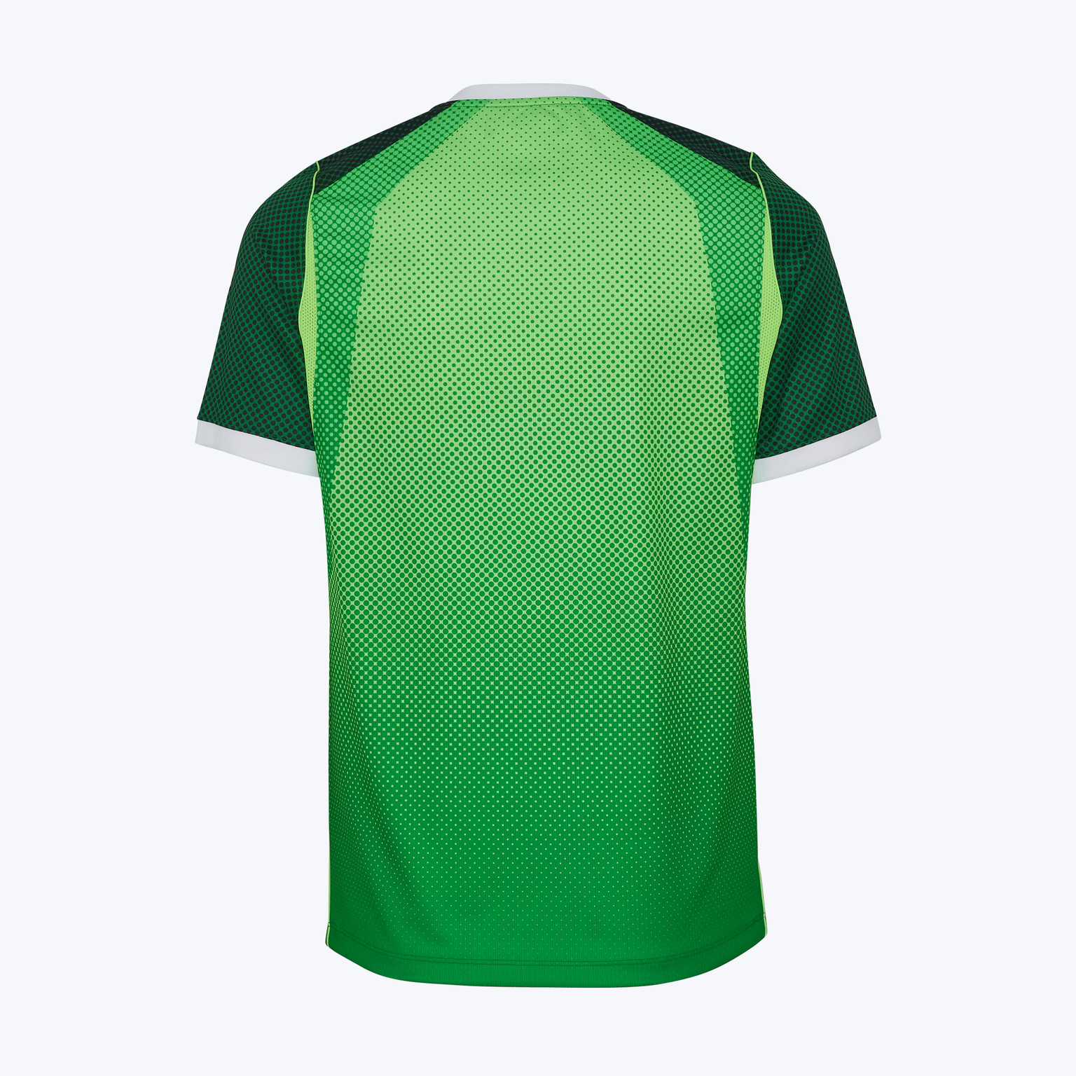 Футболка игровая домашняя Nike сборной Нигерии IB5308-302