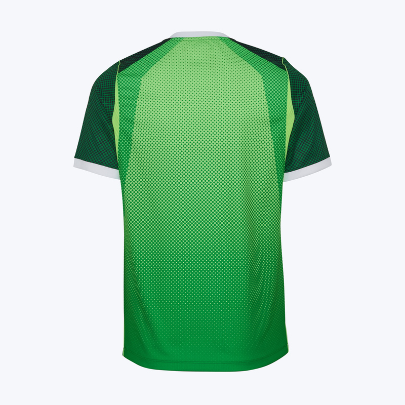 Футболка игровая домашняя Nike сборной Нигерии IB5308-302
