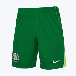 Шорты игровые домашние Nike сборной Нигерии IH0790-302
