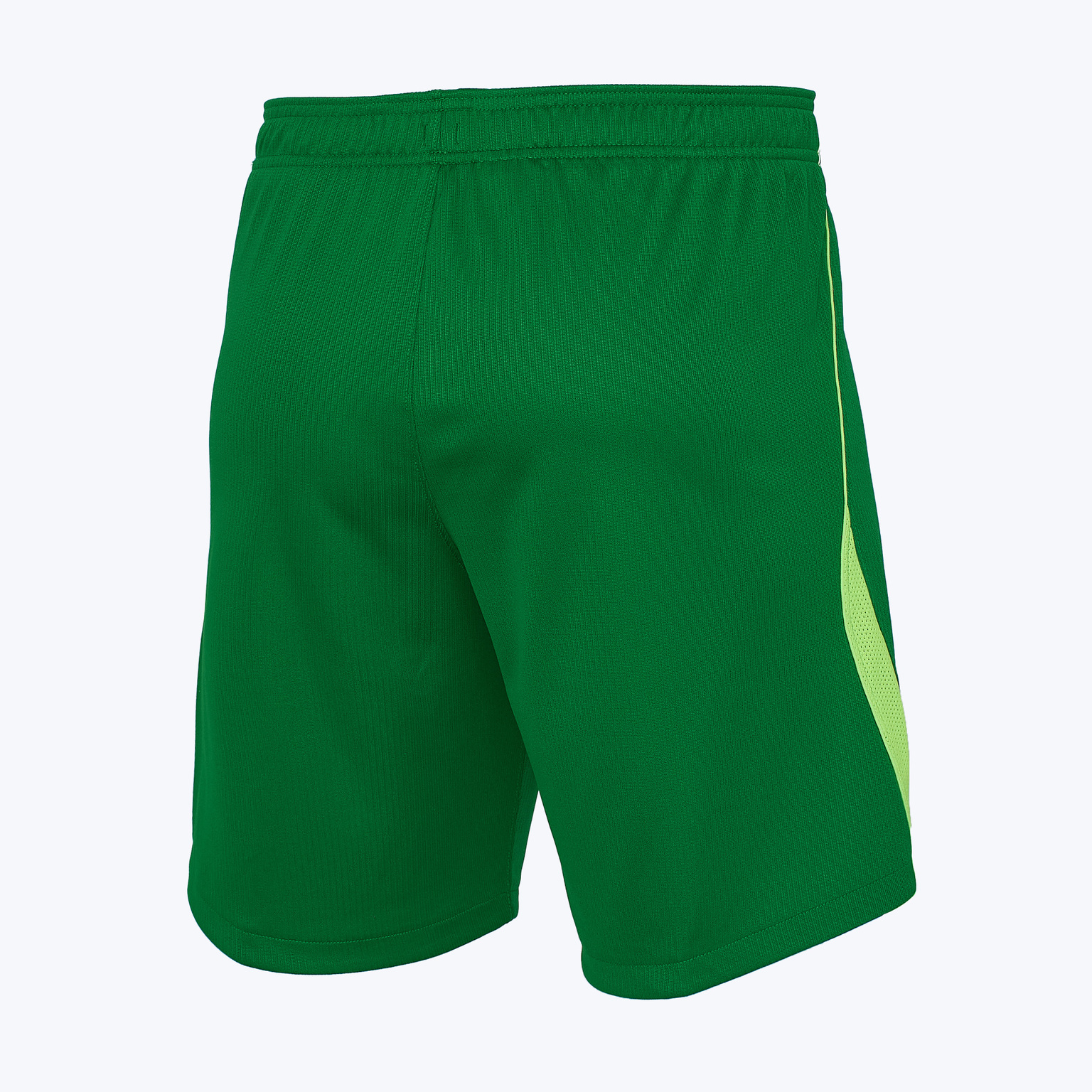 Шорты игровые домашние Nike сборной Нигерии IH0790-302