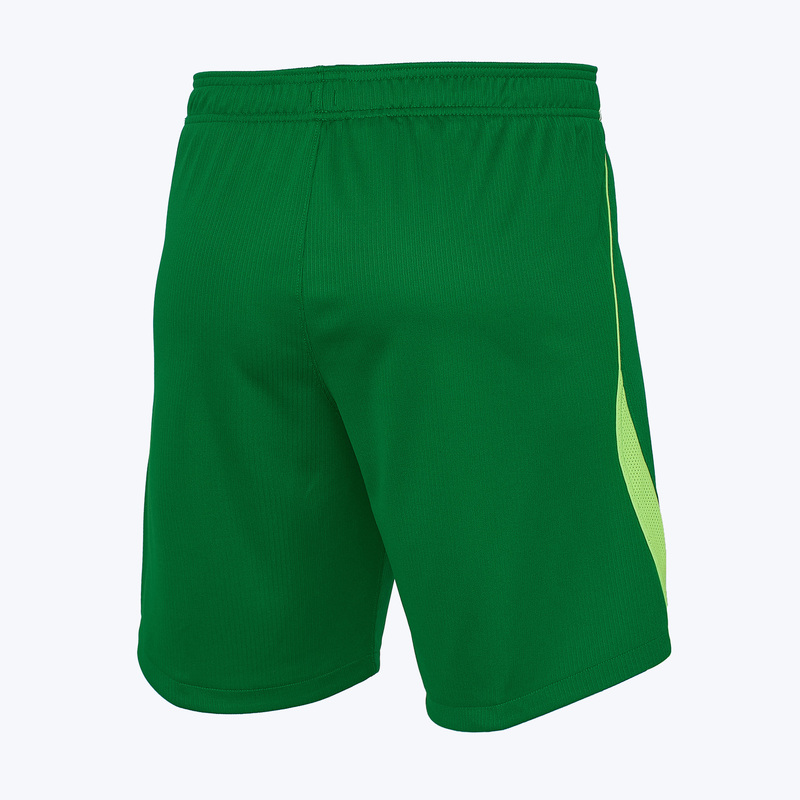 Шорты игровые домашние Nike сборной Нигерии IH0790-302