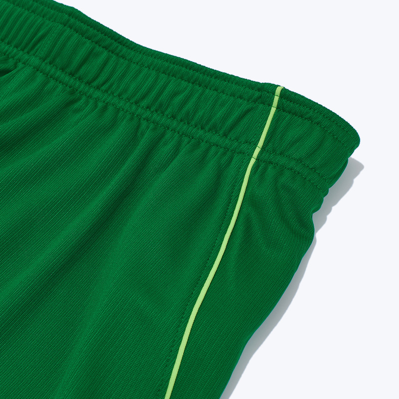 Шорты игровые домашние Nike сборной Нигерии IH0790-302