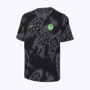 Футболка хлопковая Nike сборной Нигерии IQ2247-068
