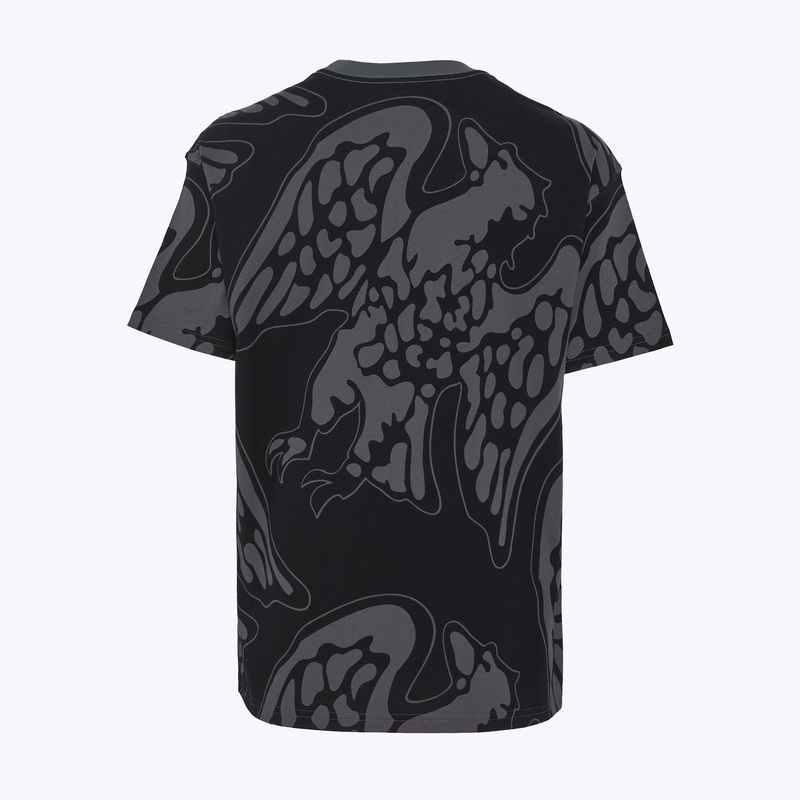 Футболка хлопковая Nike сборной Нигерии IQ2247-068