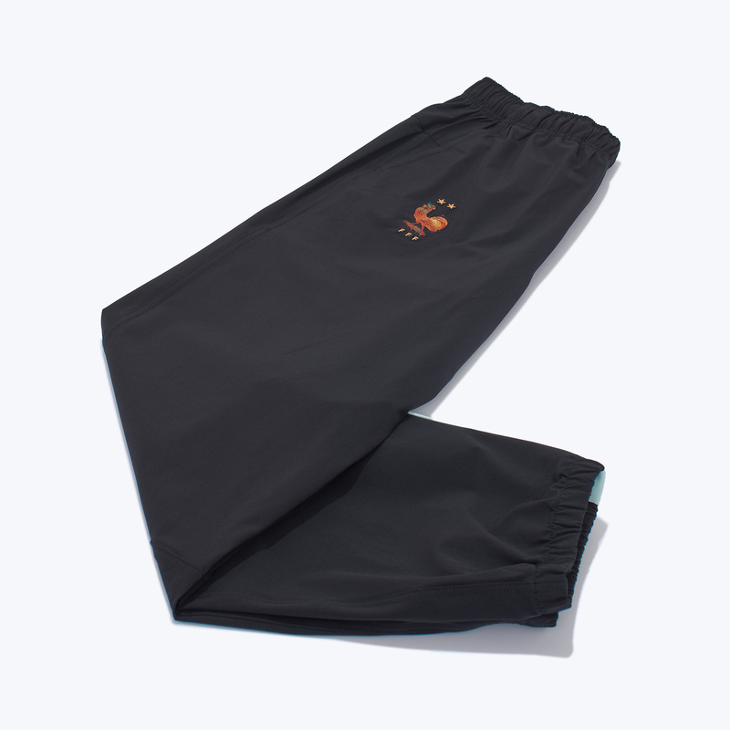 Брюки Nike Energy Woven сборной Франции IH1881-010