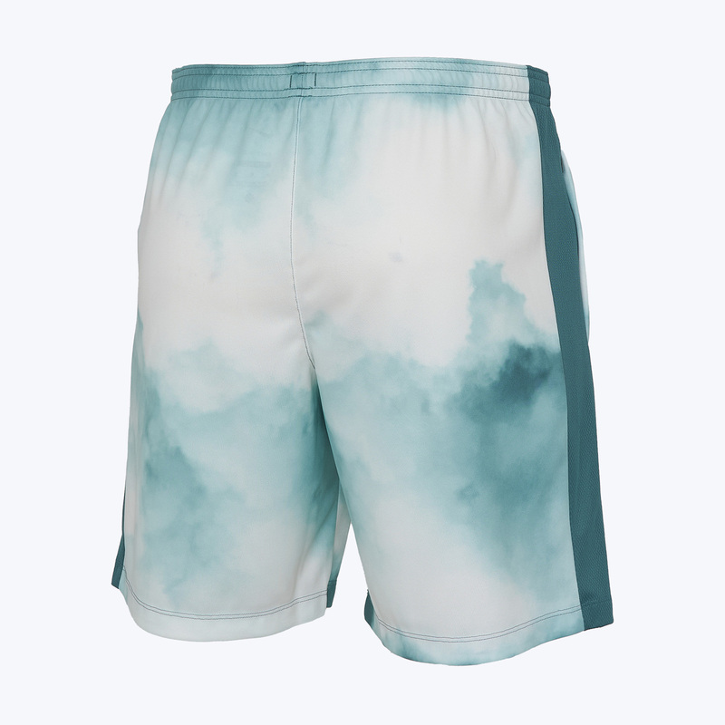 Шорты тренировочные Nike Academy+ IF2551-382