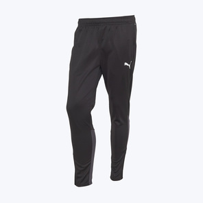 Брюки тренировочные Puma Teamgoal 65863903