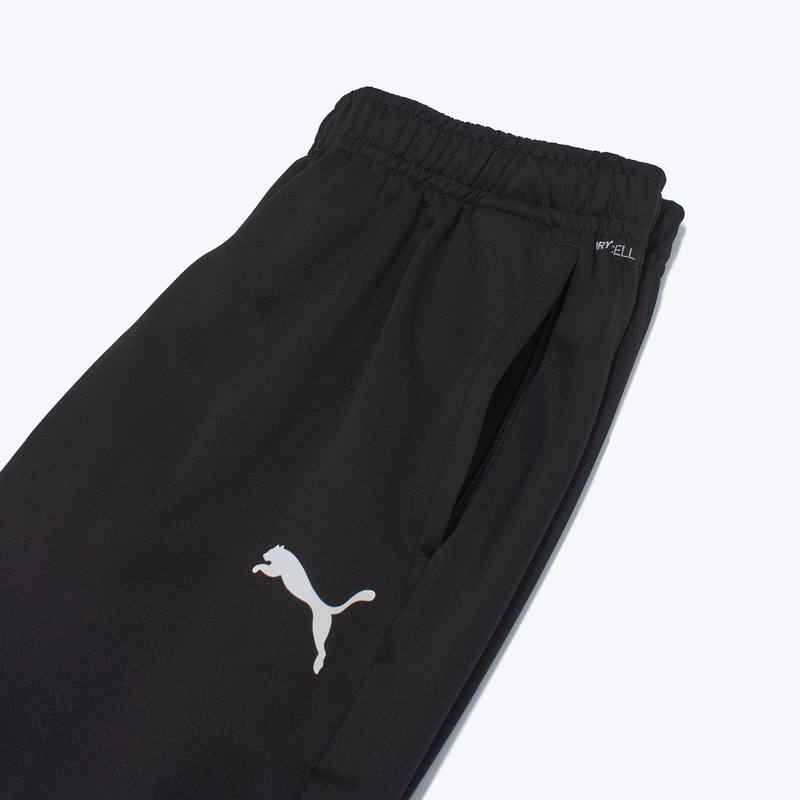 Брюки тренировочные Puma Teamgoal 65863903