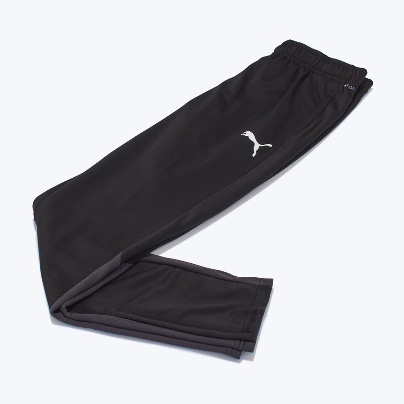 Брюки тренировочные Puma Teamgoal 65863903