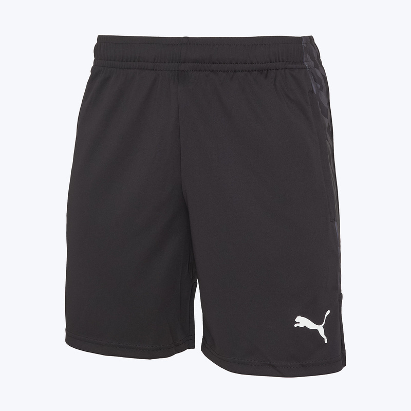 Шорты тренировочные Puma Teamliga26 65973003