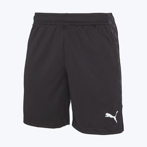 Шорты тренировочные Puma Teamliga26 65973003