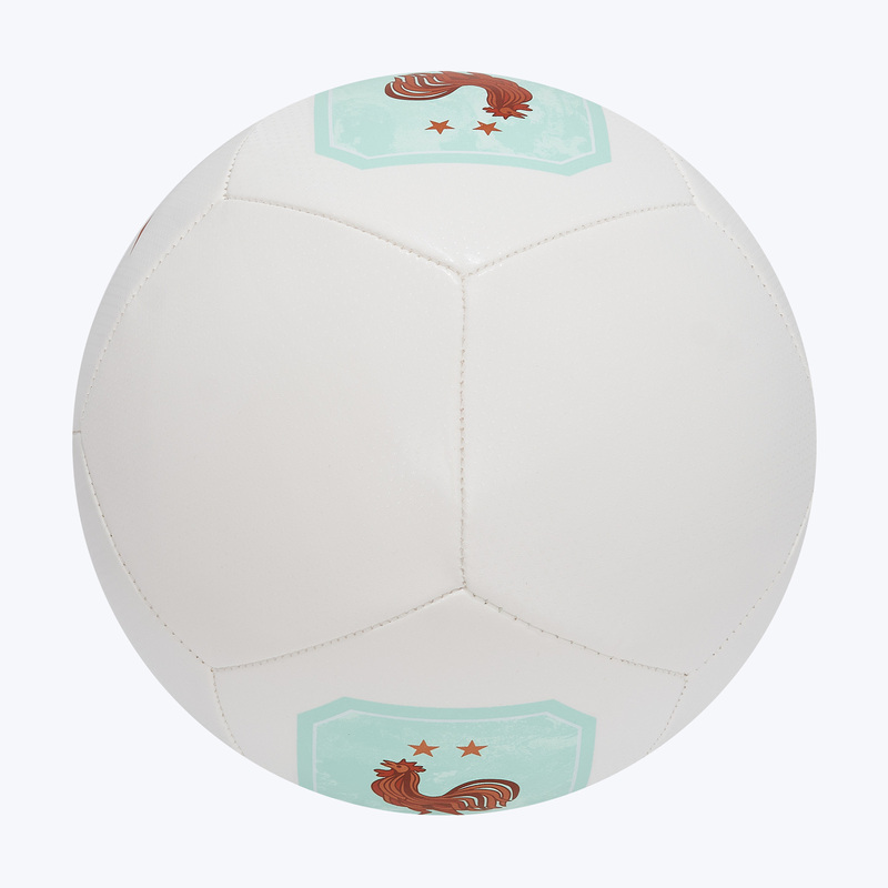 Футбольный мяч Nike Pitch сборной Франции IQ7536-100