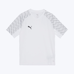 Футболка игровая подростковая Puma Teamliga26 65972304