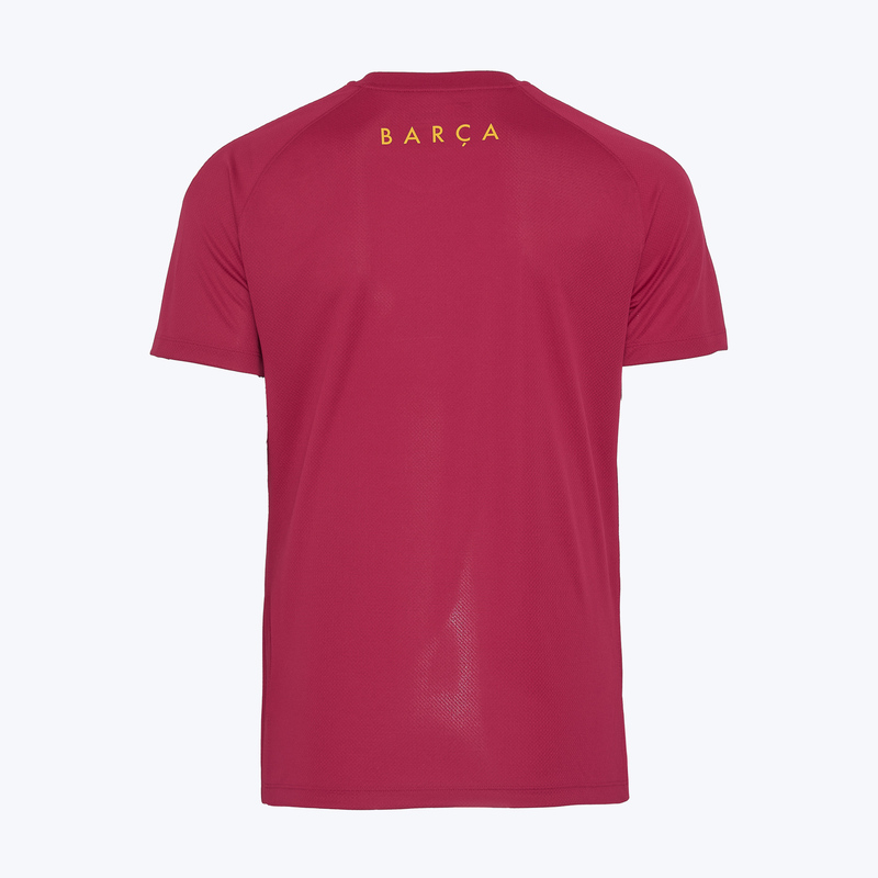Футболка тренировочная Nike Barcelona Strike Top II2254-621