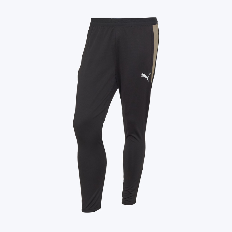Брюки тренировочные Puma Individualfinal 66101409