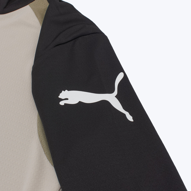 Свитер тренировочный Puma Individual Final 1/4 Zip Top 66101909