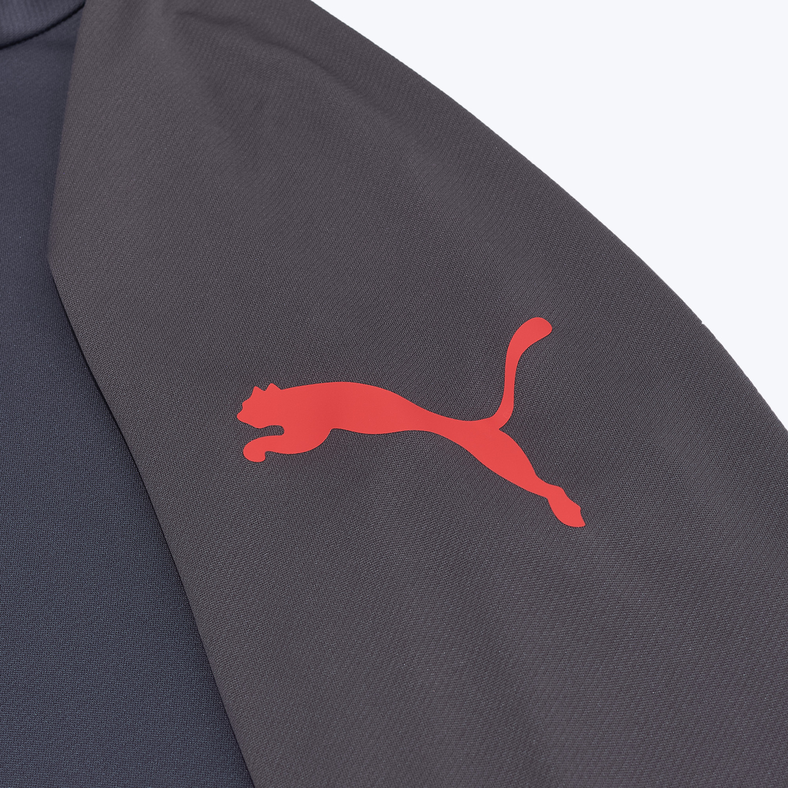Костюм спортивный Puma Individualliga 66057601