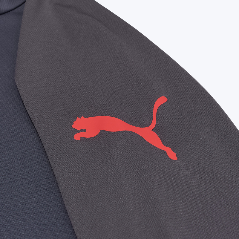 Костюм спортивный Puma Individualliga 66057601