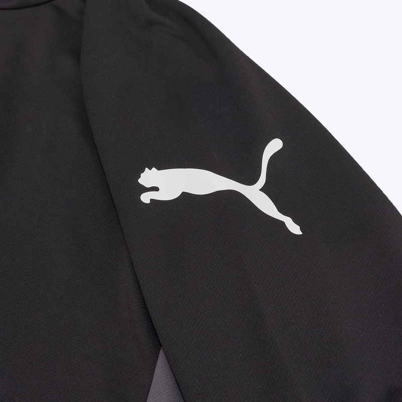 Костюм спортивный Puma Individualliga 66057603