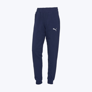 Брюки подростковые Puma Teamgoal Casuals 65860106