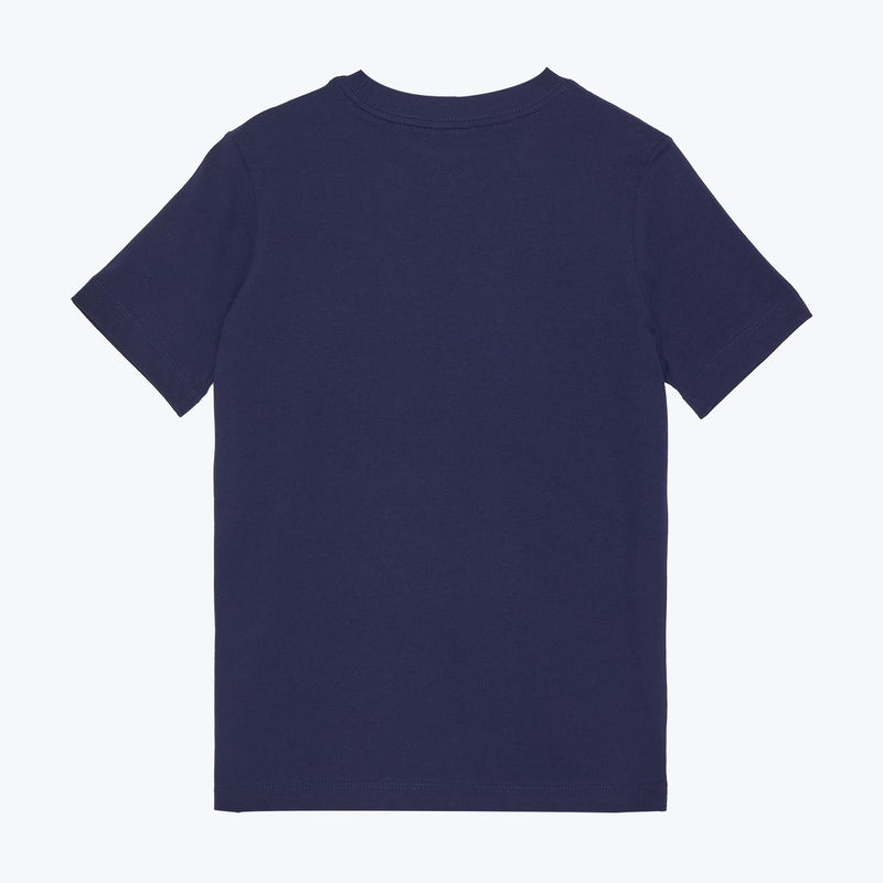 Футболка подростковая хлопковая Nike Crest сборной Франции IH2261-498