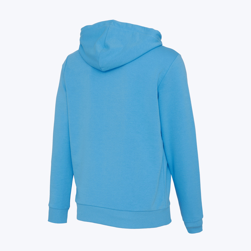 Толстовка Puma Manchester City Ftblculture 78628140