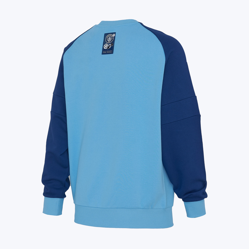 Свитшот Puma Manchester City Ftblculture 78628939
