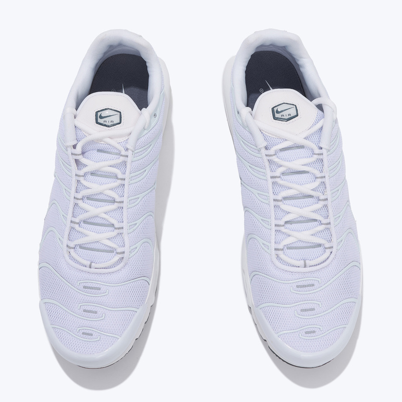 Кроссовки Nike Air Max Plus 604133-139