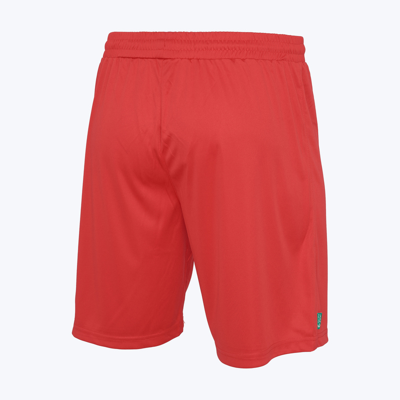 Шорты игровые UHLSport Center Basic 100530660