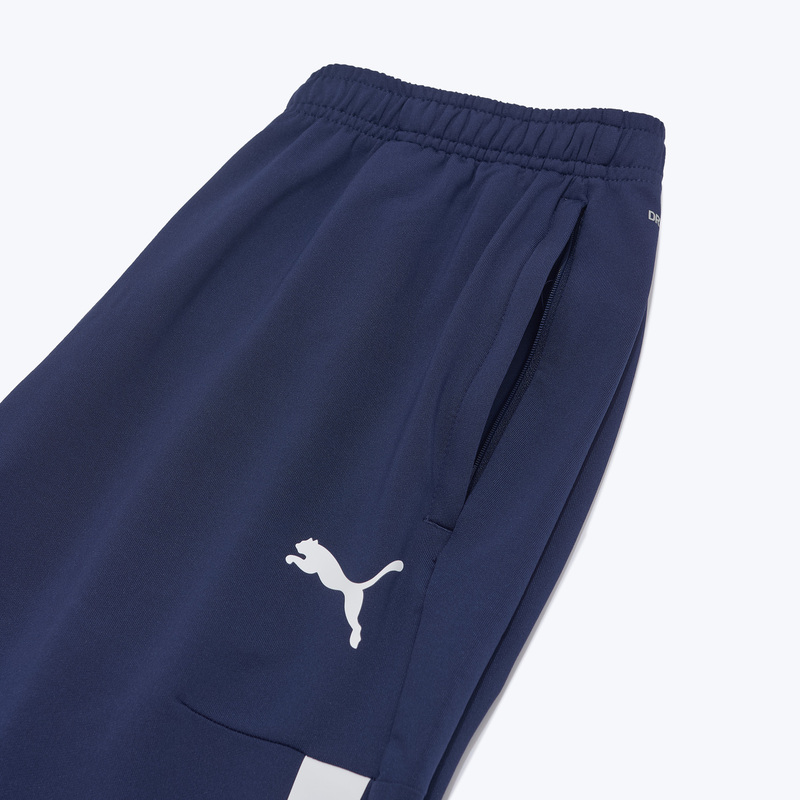 Брюки тренировочные Puma Teamliga Training Pro 65733206