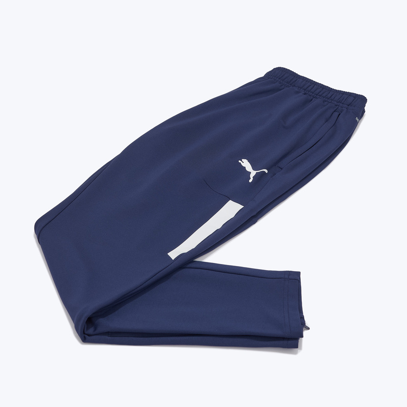 Брюки тренировочные Puma Teamliga Training Pro 65733206