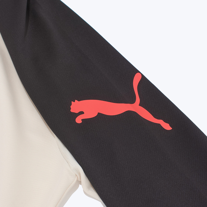 Свитер тренировочный Puma Individualliga 1/4 Zip Top 66056904
