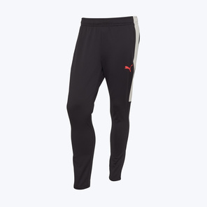 Брюки тренировочные Puma Individualliga 66057204