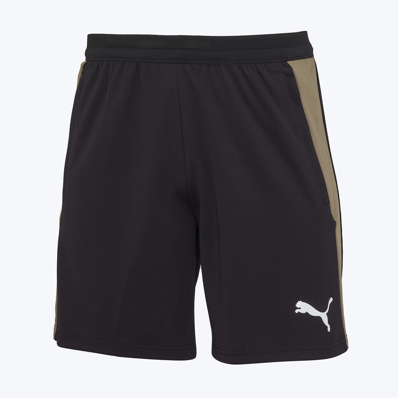Шорты тренировочные Puma Individualfinal 66101609