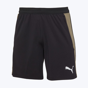 Шорты тренировочные Puma Individualfinal 66101609
