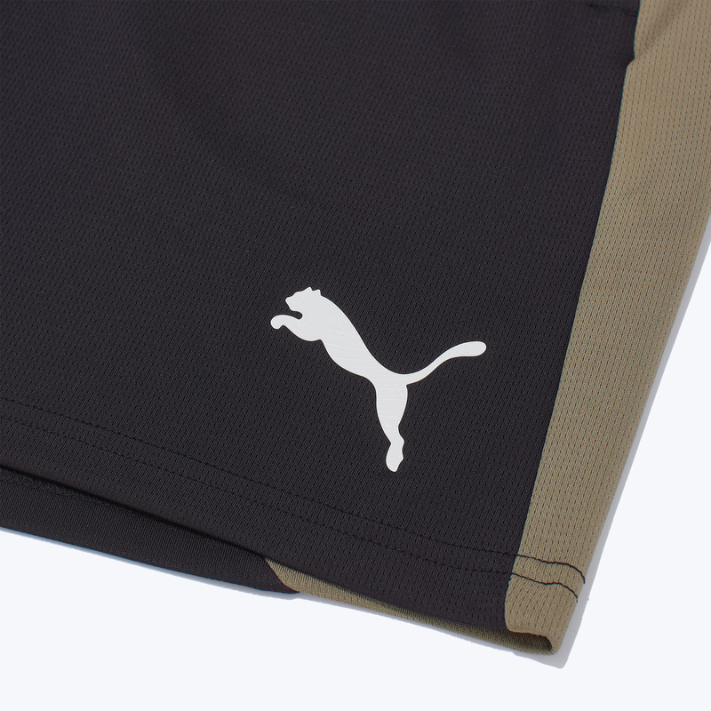 Шорты тренировочные Puma Individualfinal 66101609