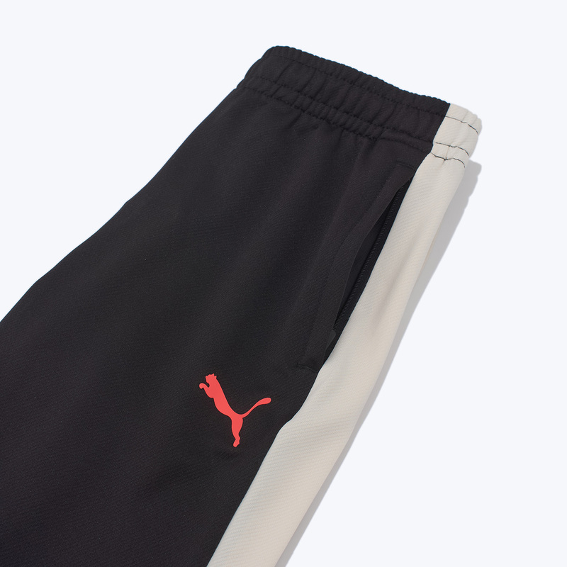 Брюки тренировочные подростковые Puma Individualliga 66057304