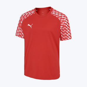 Футболка игровая Puma Teamliga26 65972101