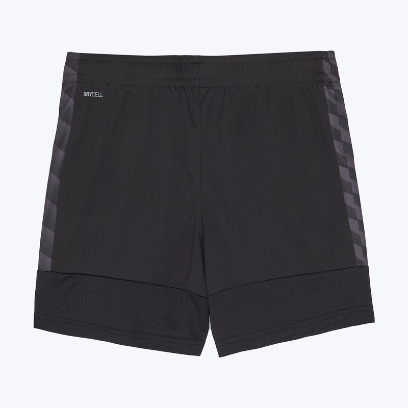 Шорты тренировочные подростковые Puma Teamliga26 65973203